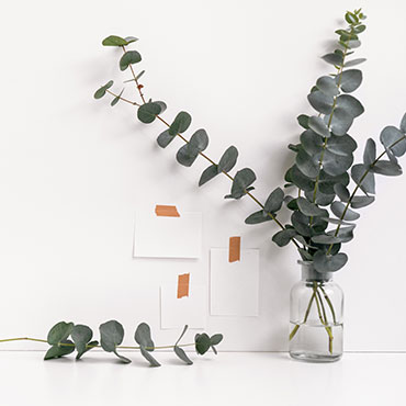 Portfolio Image 2